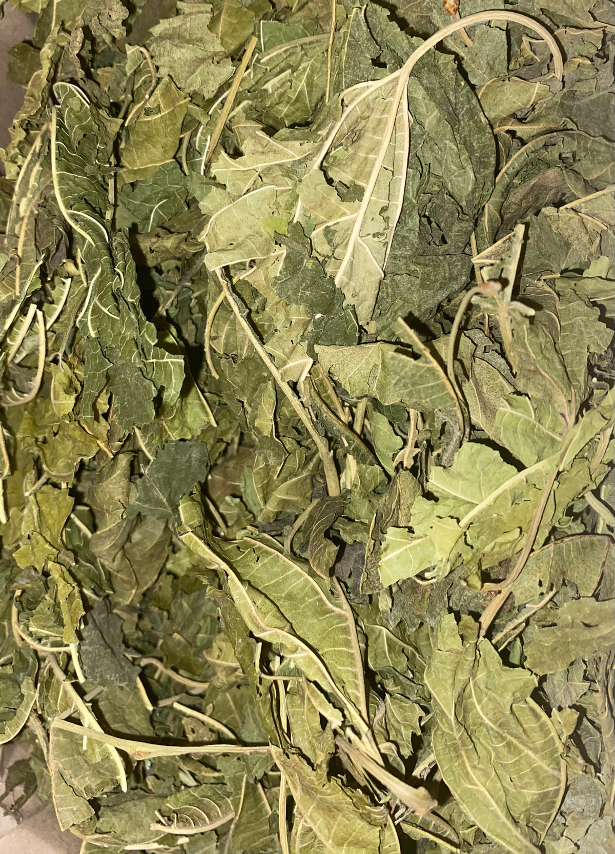 Mulberry Leaves