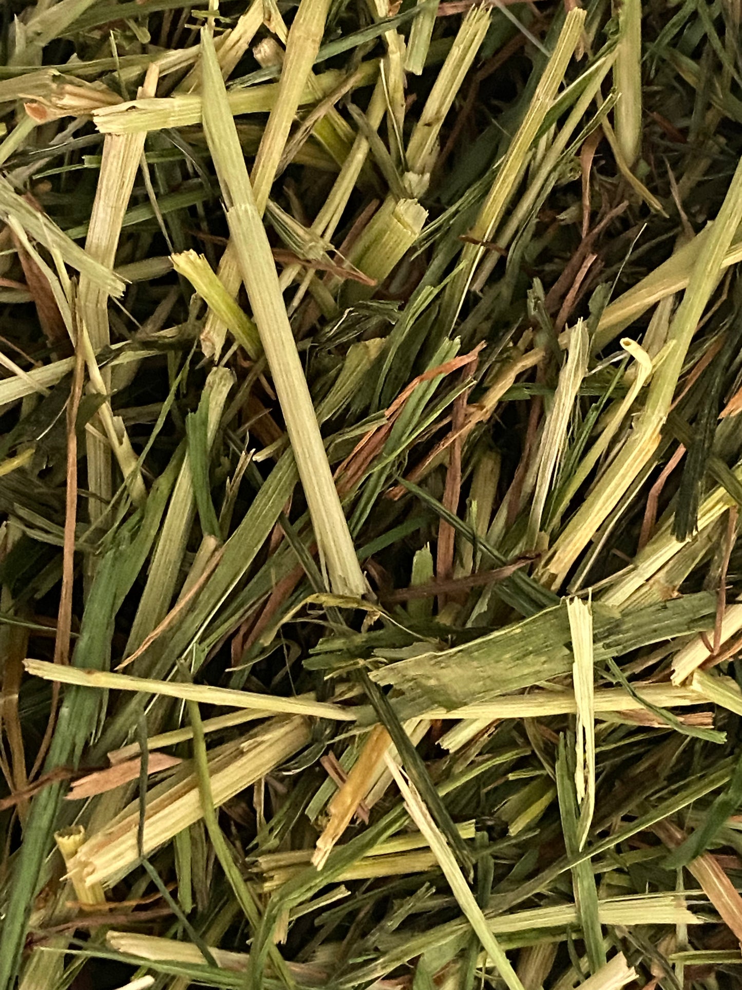 Readigrass