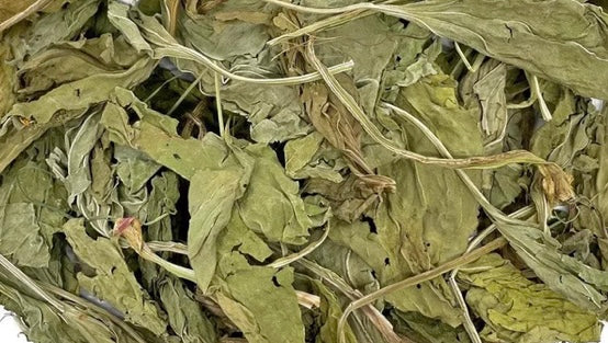 Spearmint Leaves
