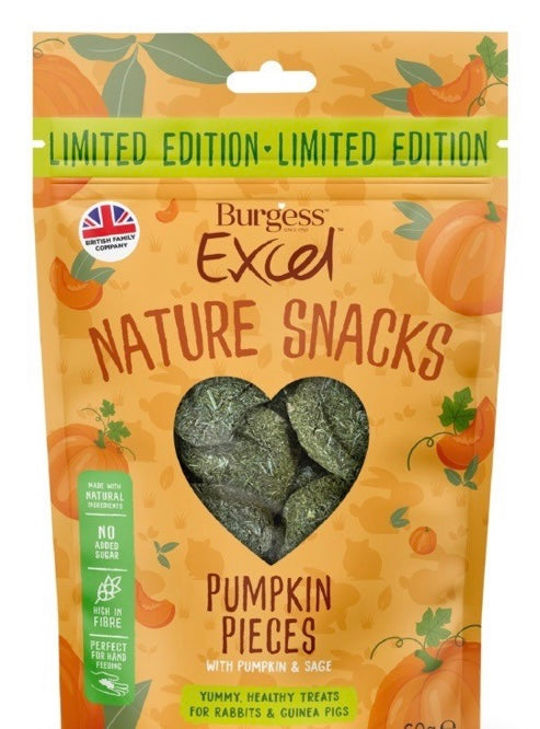 Burgess Excel Pumpkin Pieces