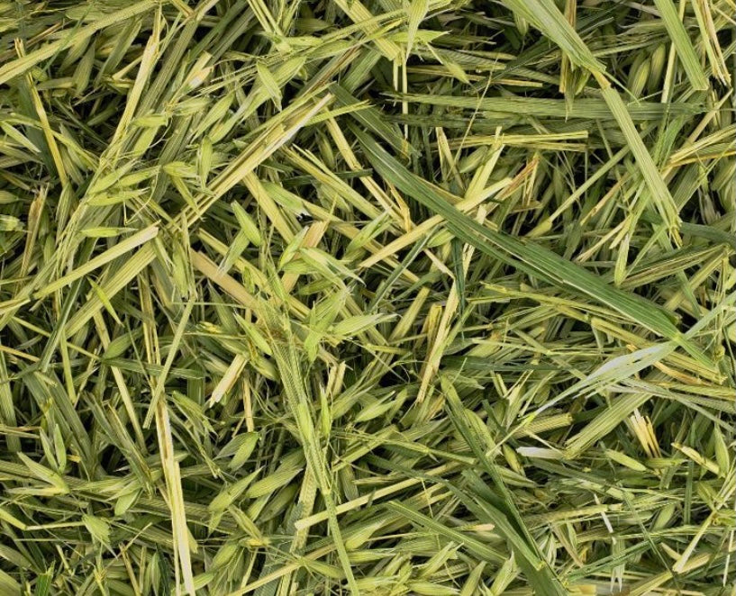 Green Oats