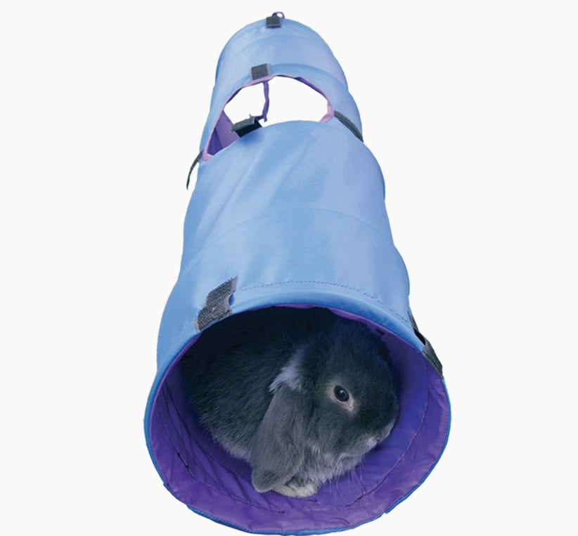Activity Tunnel