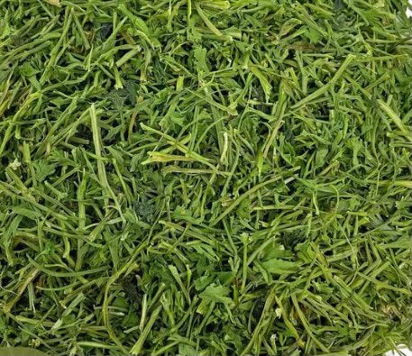 Tarragon Stalks