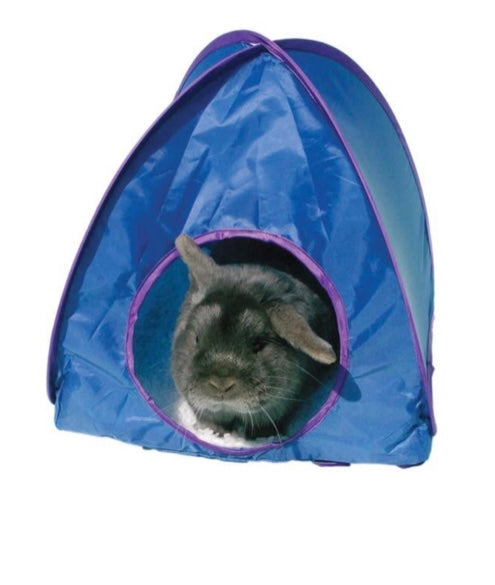 Pop Up Tent