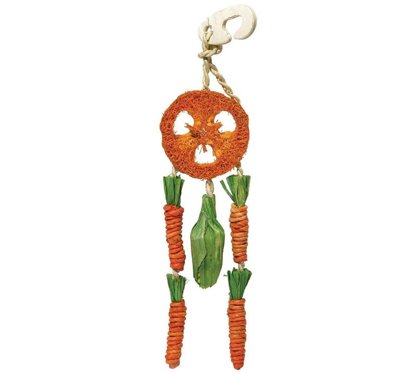 Carrot Dream Catcher