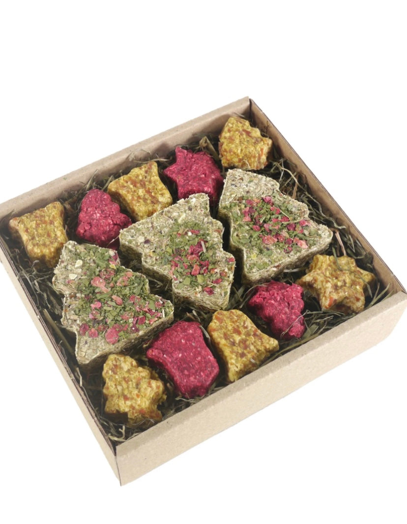 Christmas Festive Cookies Tray