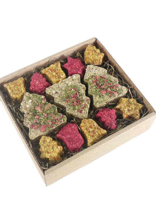 Christmas Festive Cookies Tray