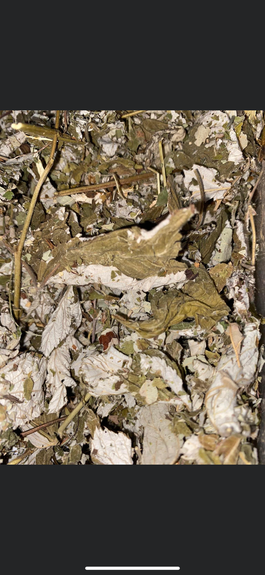 Raspberry Leaves