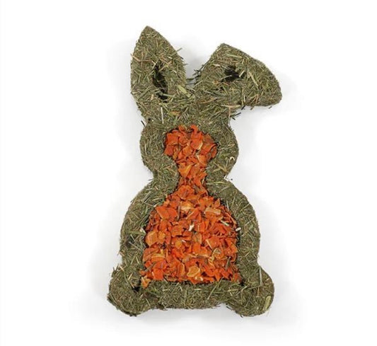 Carrot n Forage Bunny